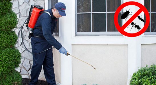 Buca Gümüşkurt İlaçlama böcek ilaçlama ve haşere kontrolü — ilaclama-tr.com